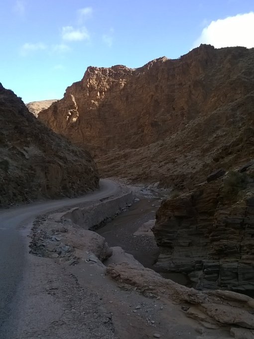 WP_20150204_09_57_15_Pro